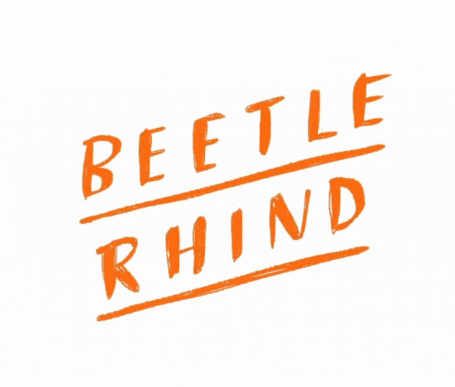 Beetle Rhind